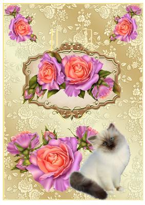 Cute Kitty with Peach/pink Roses on Pop Up Card