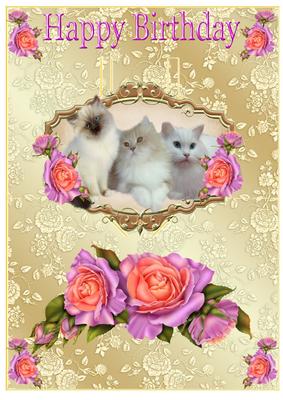 Cute Kitten with Peach/roses on Pop Up Card