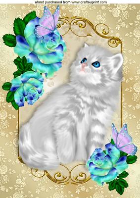 Fluffy White Kitten with Turq Roses in Ornate Frame A4