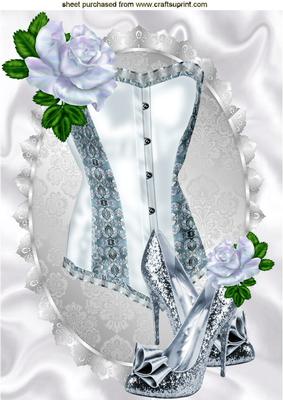 Satin Silver Basque with Sparkle Shoes and Roses A4