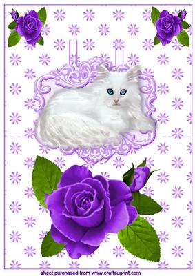 Purple Rose with White Fluffy Kitten Pop Up