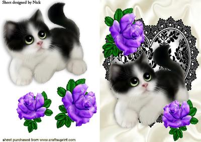 Cute Kitty with Purple Roses on Black/white Lace Heart