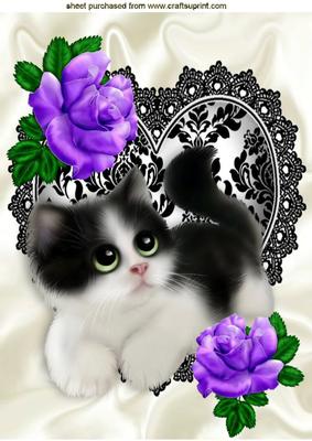 Cute Kitty with Purple Roses on Black/white Lace Heart A4