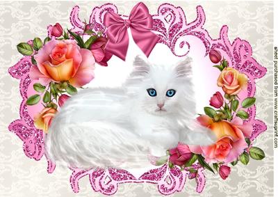 White Kitty in Frame of Roses with Bow A4