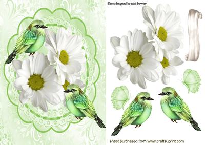 Pretty White Daisies on Lace with Little Birds