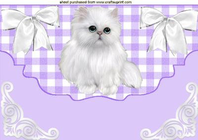 Fluffy White Kitten with Bows on Scalloped Envelope A4