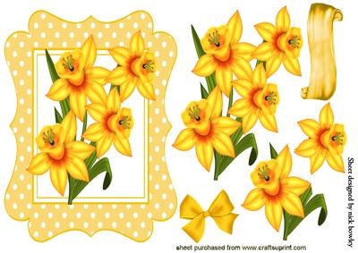 Yellow Daffodils in Yellow Polkadot Frame with Bow