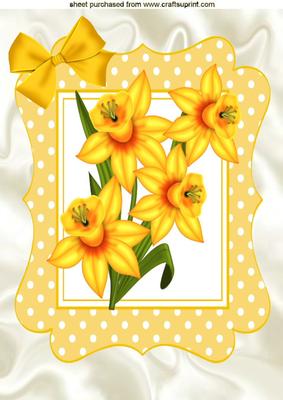 Yellow Daffodils in Yellow Polkadot Frame A4