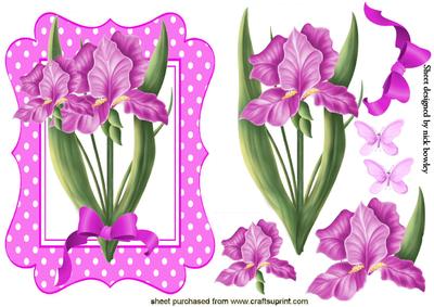 Pink Iris with Bow in Pink Polka Dot Frame