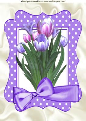 Pink/lilac Tulips in Lilac Polka Dot Frame A4