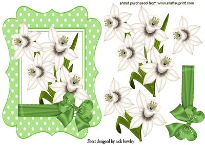 White Daffodils with Green Bow in Polkadot Green Frame