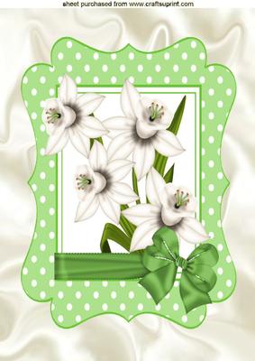 White Daffs with Green Bow in Green Polkadot Frame A4