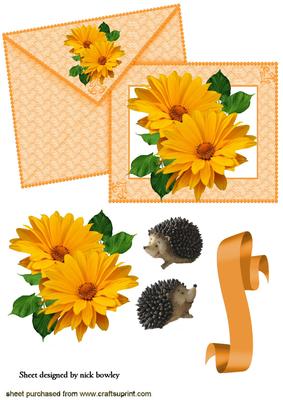 Orange Flowers with Hedgehogs on a Card with Envelopes