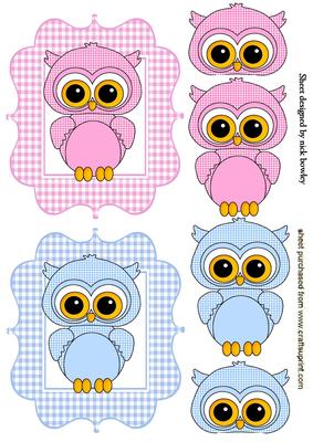 Cute Little Toppers of Pink and Blue Owls in Gingham Frames