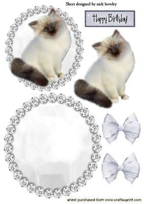 Little White Kitty in Diamante Rocker Card