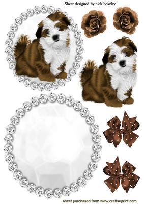 Cute Little Llhapso Puppy in Diamante Rocker Card