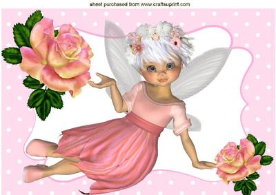 Candy Floss Pink Faerie with Rainbow Roses A4