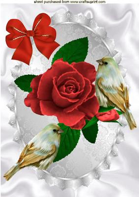 Pretty Painted Red Roses with Little Bird A4