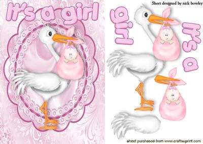 It's a Girl! with Cute Stork in Lace Frame