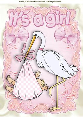 Cute Baby Girl! Carried by a Stork A4