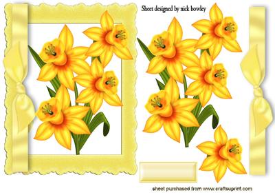 Golden Daffodils in Frame with Bow
