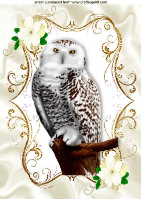 Beautiful Owl on a Branch with Flowers A4