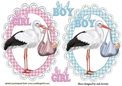 It's a Girl, It's a Boy! Toppers with Cute Storks