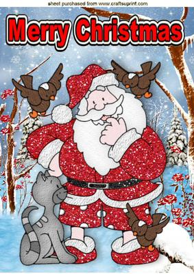 Santa with Cat and Little Birds in the Snow A4