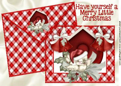 Christmas Robin on Holly on Card &envelope A4