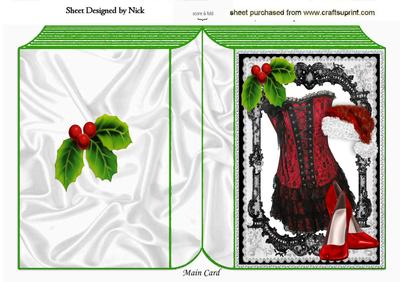Party Time for Christmas with Holly Folded Book