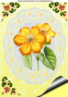 Gorgeous Flower on Lace in Yellow A4 Topper