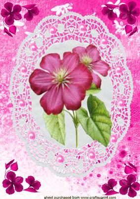 Beautiful Cerise Flower on Lace A4 Topper
