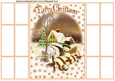 Snowman in Plane in Snow Scene French Gatefold