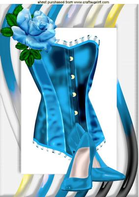 Blue Satin Basque with Roses and Shoes A4