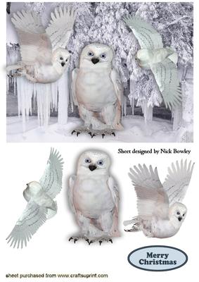 Beautiful Snow Owls in Icicle Glazier