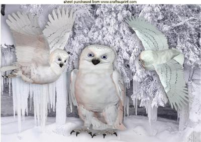 Beautiful Snow Owls in Icicle Glazier A4