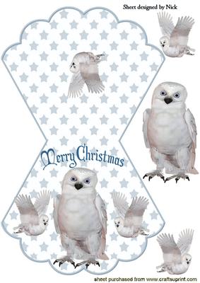 Snowy Winter Owl on Starry Rocker Card