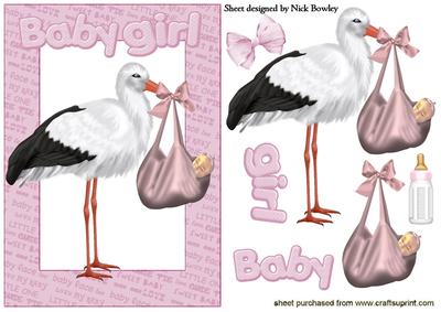 Baby Girl with Stork in Baby Word Frame