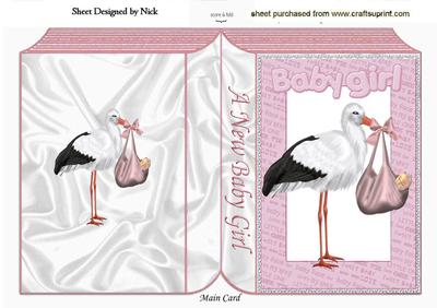 Baby Girl with Stork in Baby Word Frame Folded Book