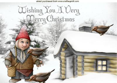 Gnome Feeding Birds in Silver with Cottage A4