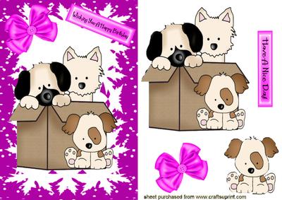 Cute Little Puppies in a Box
