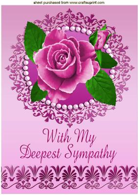 With Sympathy Painted Pink Roses in Pearl Frame A4