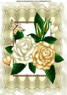 Cream/gold Roses on Vintage Lace A4