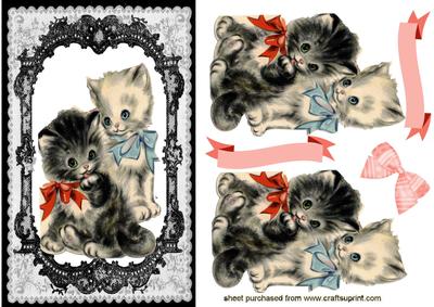 Cute Little Kittens in Pretty Lace Frame