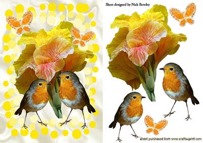 Autumn Shades of Yellow Flowers with Robins