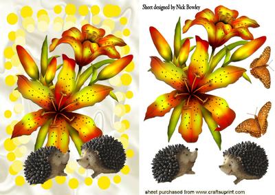 Autumn Shades of Yellow/orange Flowers with Hedgehogs