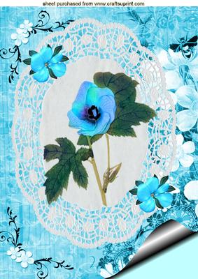 Gorgeous Turquoise Flower on White Lace Background A4 Topper