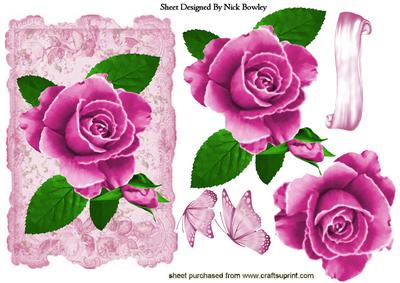 Pretty Pink Painted Roses on Lace