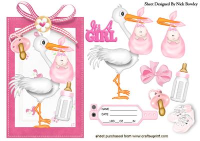 Cute Baby Girl with Stork on a Tag