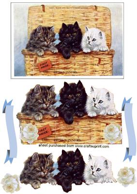 3 Cute Little Kittens in a Basket